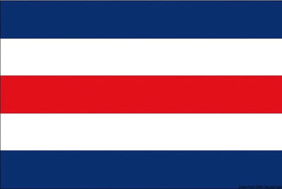 Internationella kodflaggor