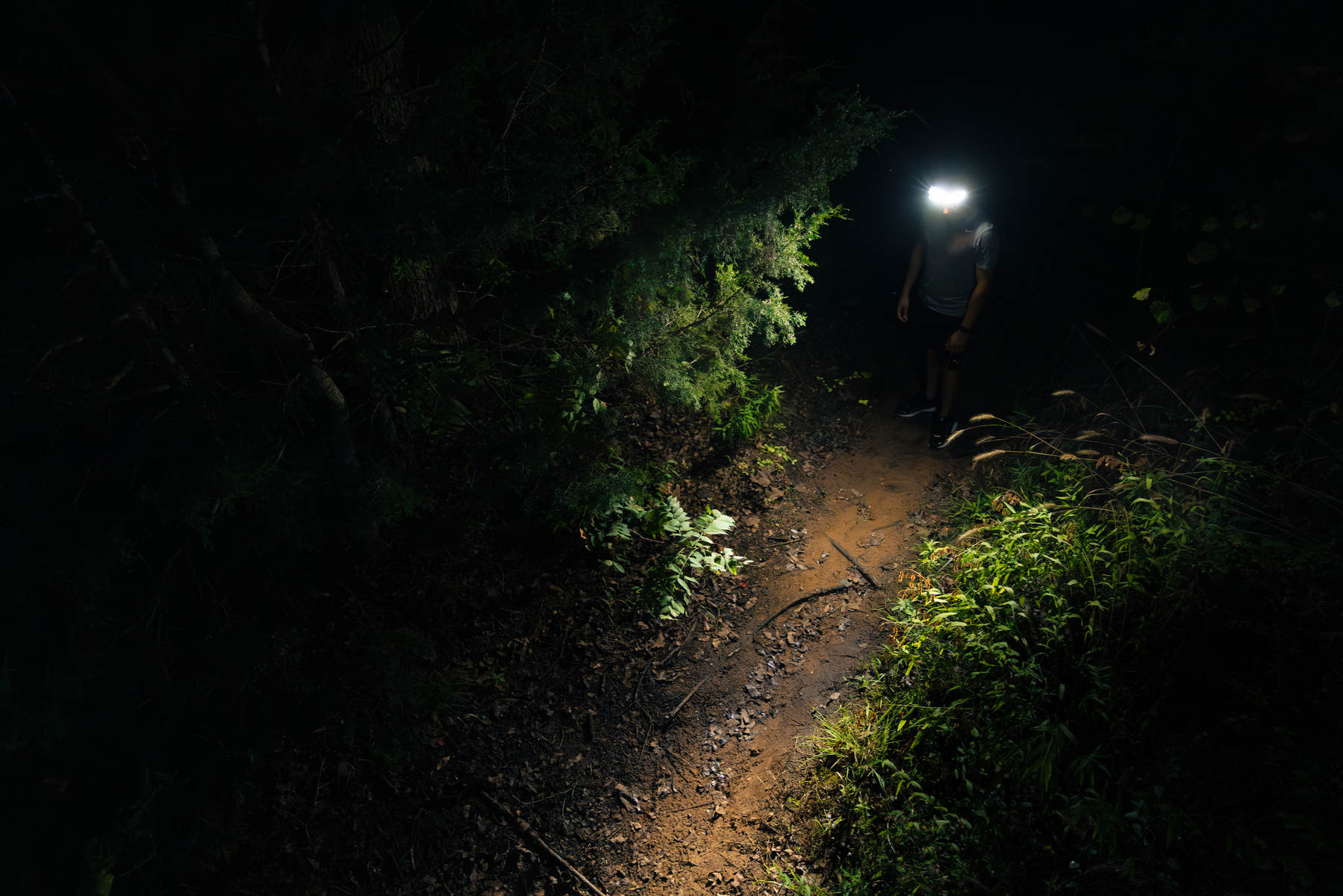 CURVBEAM 600 FLEX OTSALAMPPU