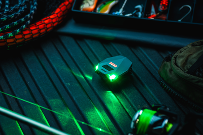 Einstein Cap 100 - lippavalo